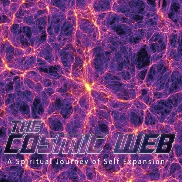 Cover art for The Cosmic Web (A Spiritual Journey of Self Expansion)